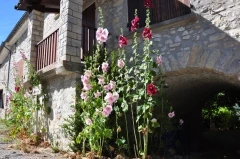 Hameau de la Farette